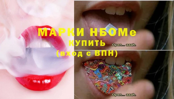 гашик Алексин