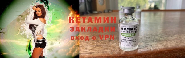 гашик Алексин