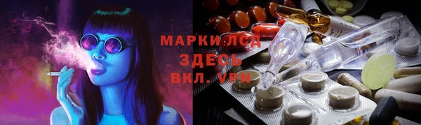 гашик Алексин