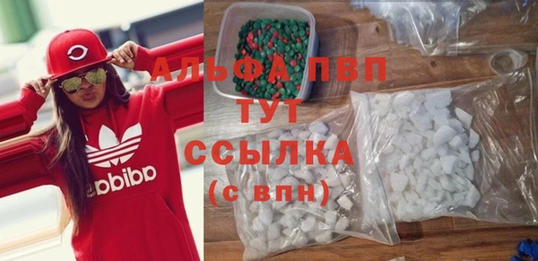 гашик Алексин