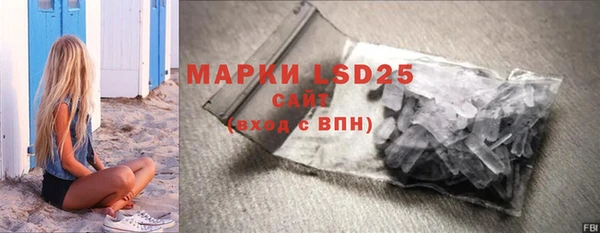 гашик Алексин