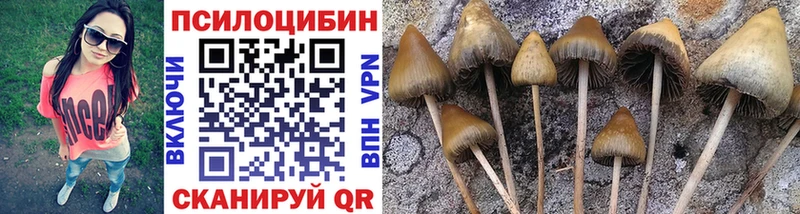 ссылка на мегу ССЫЛКА купить наркотики цена Пикалёво Галлюциногенные грибы ЛСД